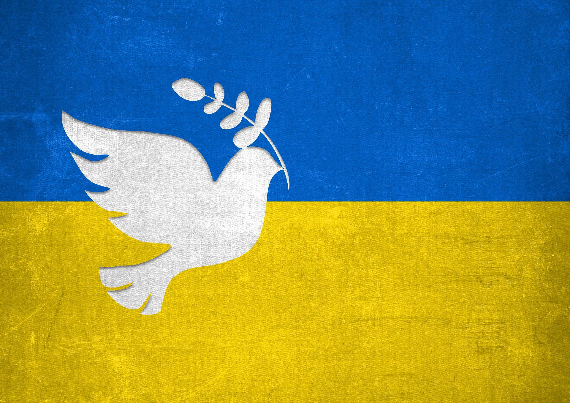 Lire la suite à propos de l’article Sombres perspectives pour l’Ukraine en guerre