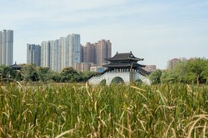 Lire la suite à propos de l’article Que savons-nous de la Chine d’aujourd’hui ?